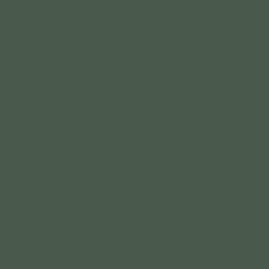 DUCK GREEN DUCK GREEN