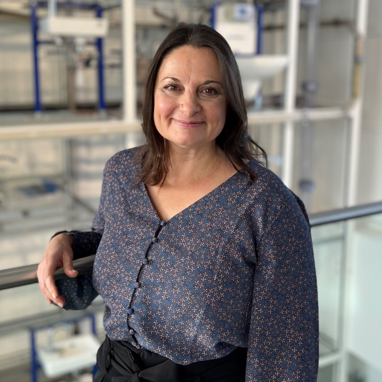 Svetlana Valchanova Svetlana Valchanova