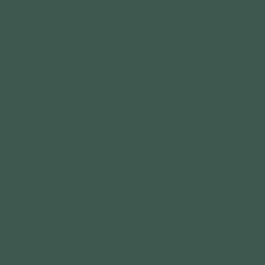 POSY GREEN POSY GREEN