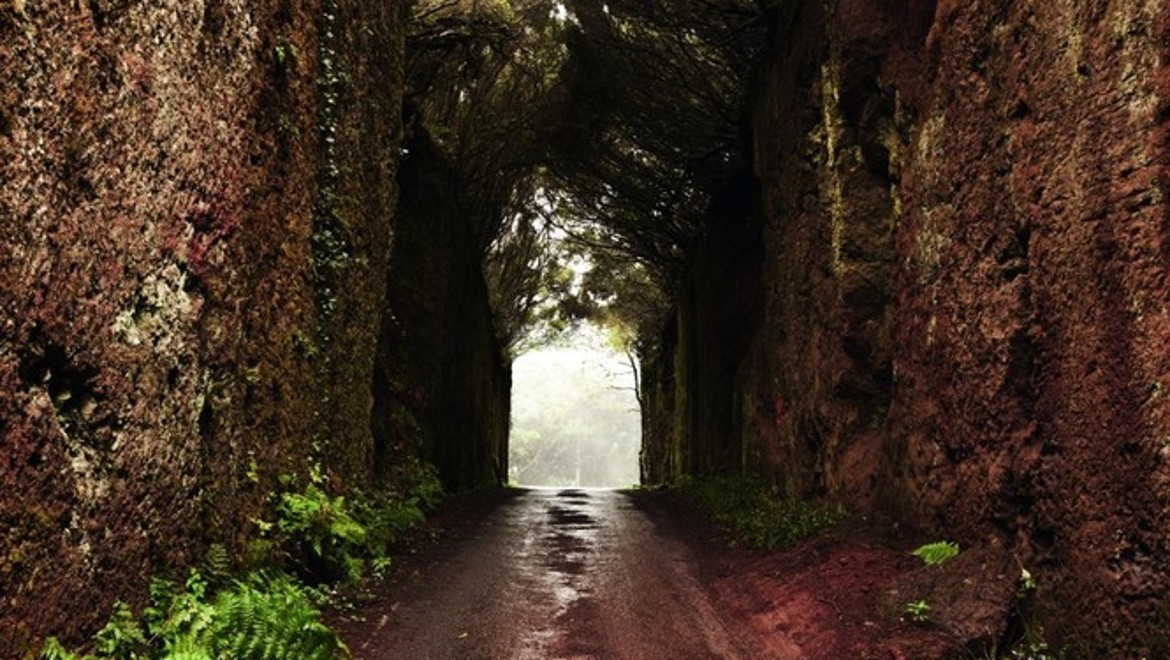 Nature Nature