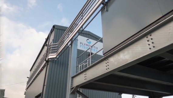 Plymouth Fisheries, Sutton Harbour