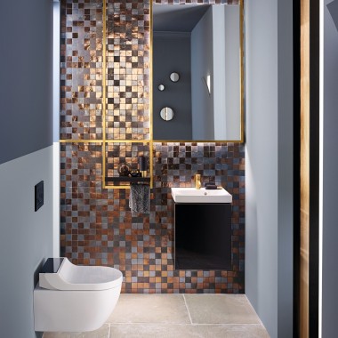 Geberit Acanto guest bathroom