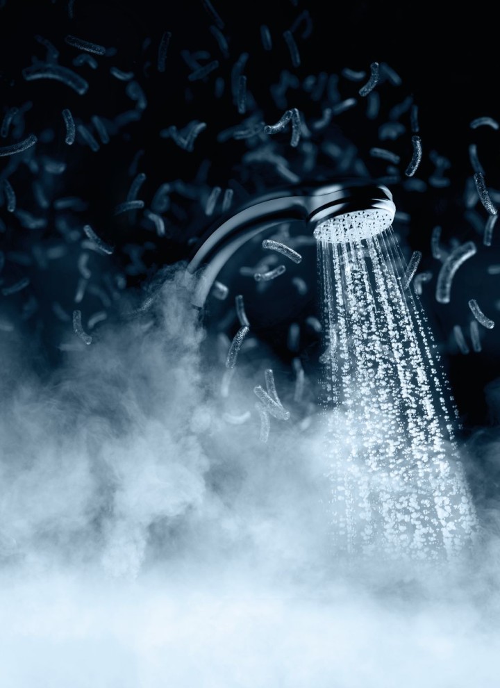 Shower sprays are potential sources of legionella