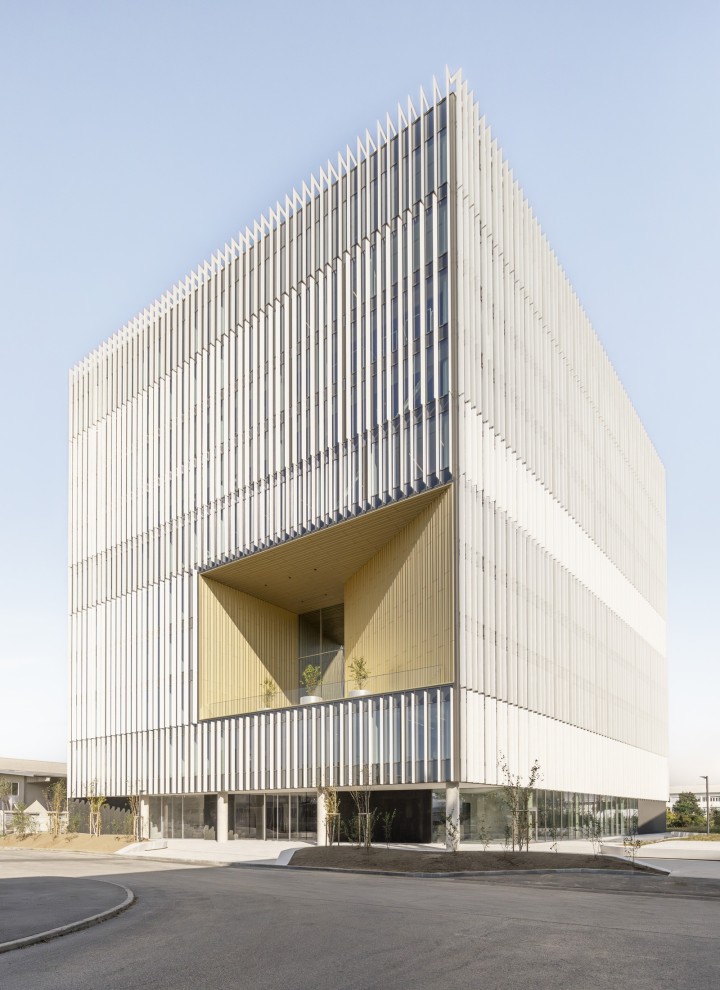 DCB Montana (© Ana Skobe)