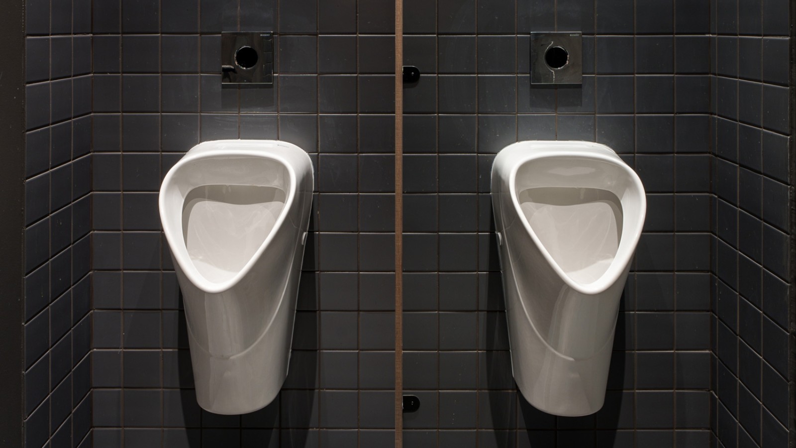 Classic elegance: the Selnova line of urinal ceramics (© Jānis Salmanis)