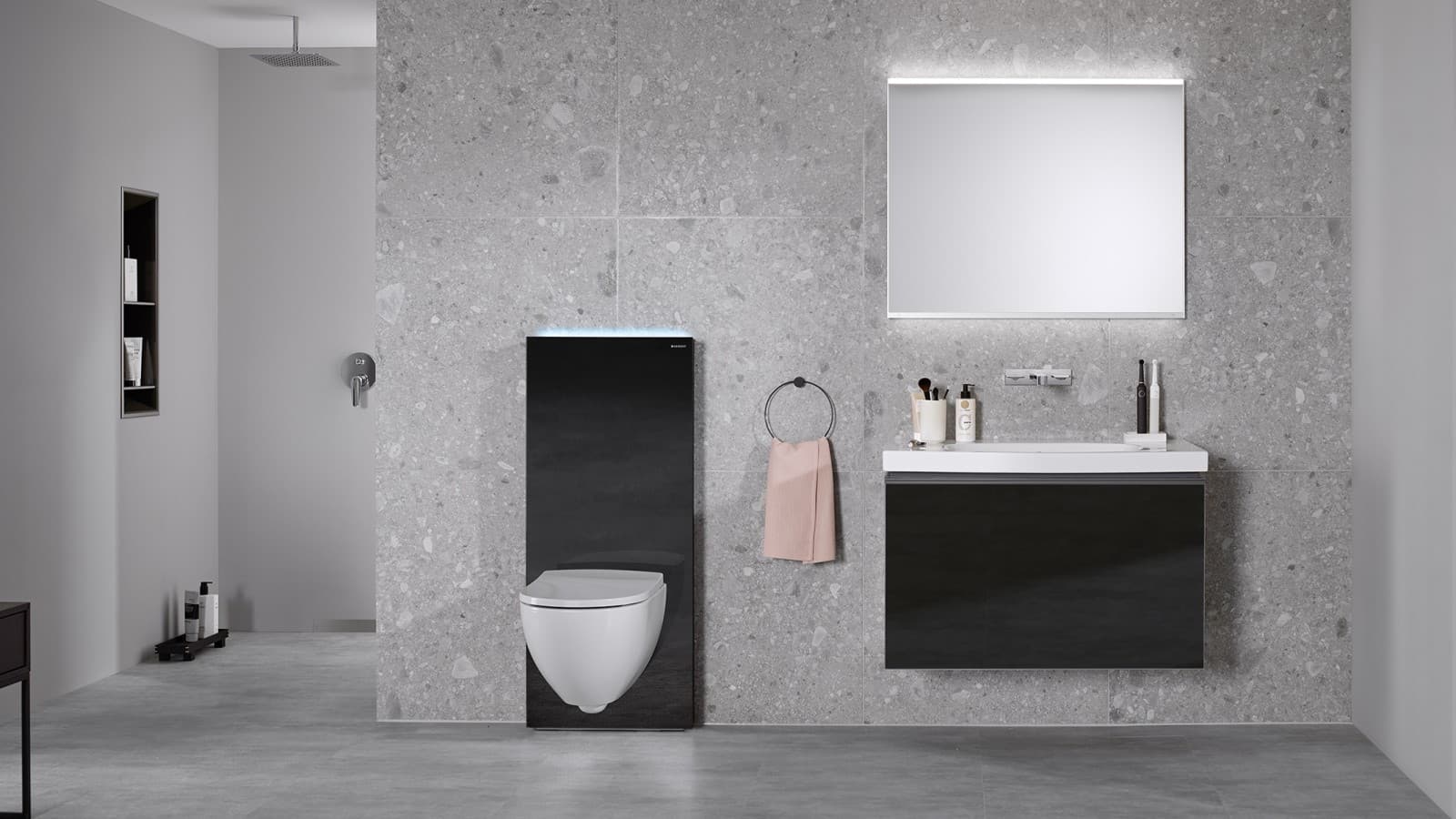 Bathroom with Monolith Plus and Acanto WC and washbasin area Bathroom with Monolith Plus and Acanto WC and washbasin area