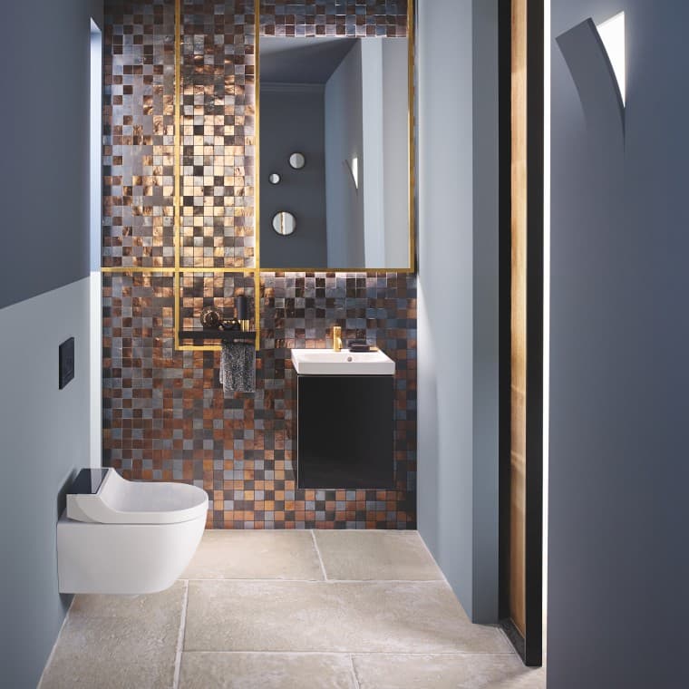 Geberit AquaClean Tuma Comfort shower toilet in Geberit Acanto Geberit AquaClean Tuma Comfort shower toilet in Geberit Acanto
