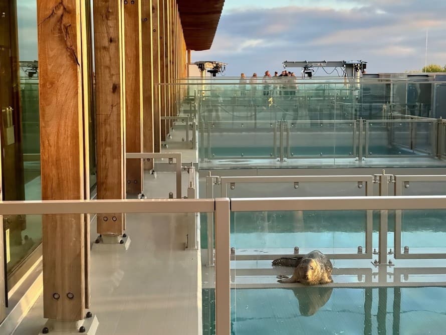 The seal pools are located on the roof of the Wadden Sea Centre (© Niek Kuizinga) The seal pools are located on the roof of the Wadden Sea Centre (© Niek Kuizinga)